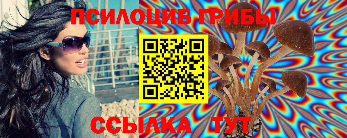 Галлюциногенные грибы прущие грибы  Вход с VPN  где продают наркотики  Грозный 