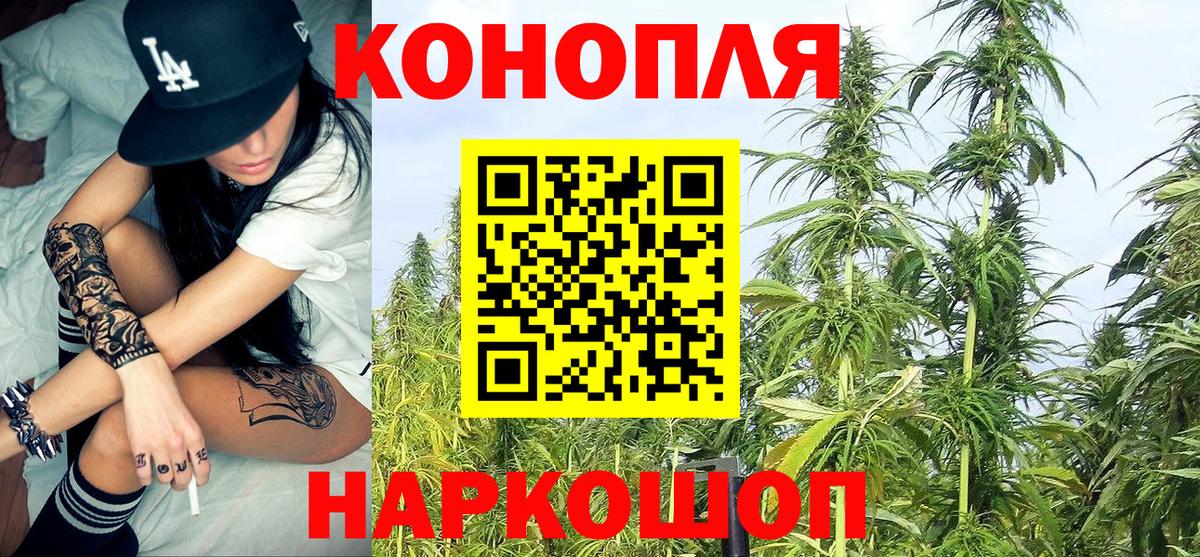 Бошки марихуана White Widow  Вход с VPN  МАРИХУАНА планчик  Марихуана VHQ  Конопля LSD WEED  Грозный 